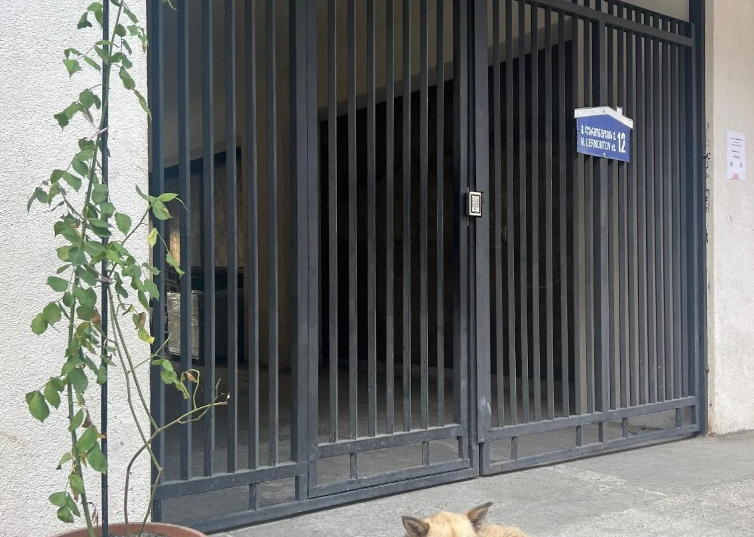 Apartment In The Park Area Batumi